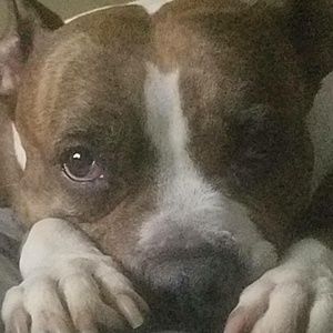 Meet your Posher, Gerald